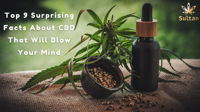 CBD: Top 9 Surprising Facts That Will Change Your Mind