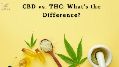 CBD vs. THC: Answering The Ultimate Question