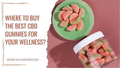 Where to Buy the Best CBD Gummies for Your Wellness?