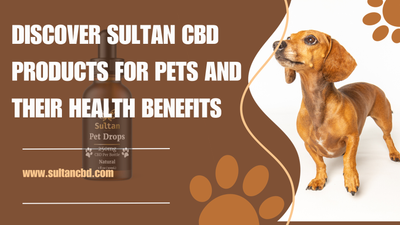 Discover Sultan CBD Products for Pets and Their Health Benefits